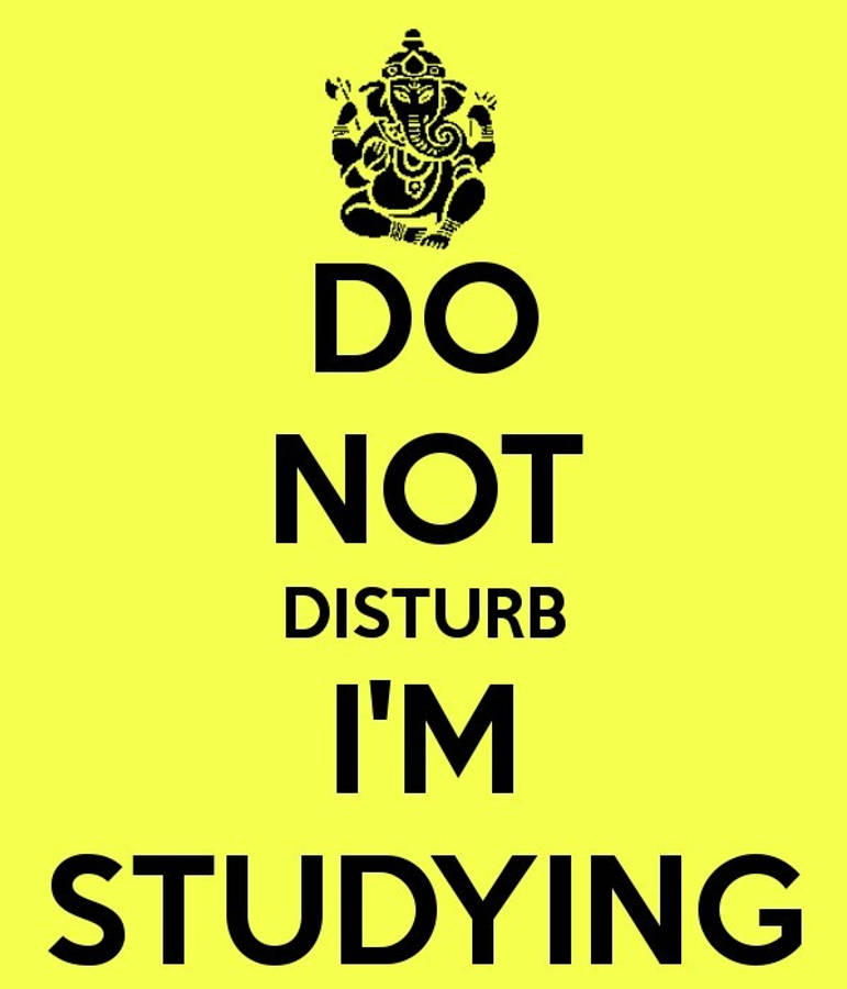 Caption: Student Engrossed In Study With Do Not Disturb Sign Wallpaper