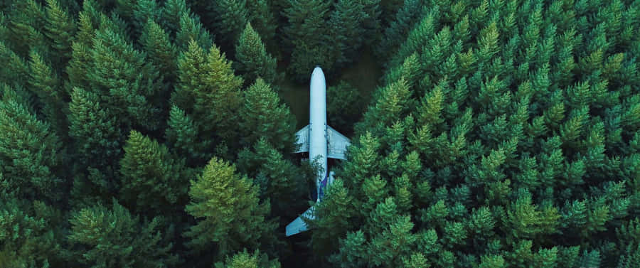 Caption: Stunning High-resolution Scenery In 3440x1440 Hd Wallpaper