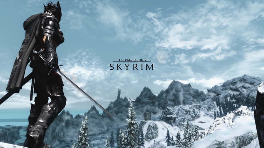 Caption: The Courageous Dovahkiin Poised For Battle. Wallpaper