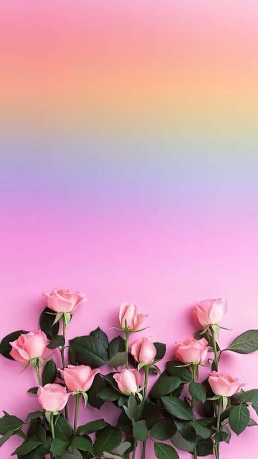 Caption: Vibrant Rainbow Flower For Iphone Wallpaper Wallpaper