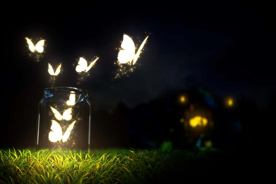 Captivating Dark Butterfly Wallpaper