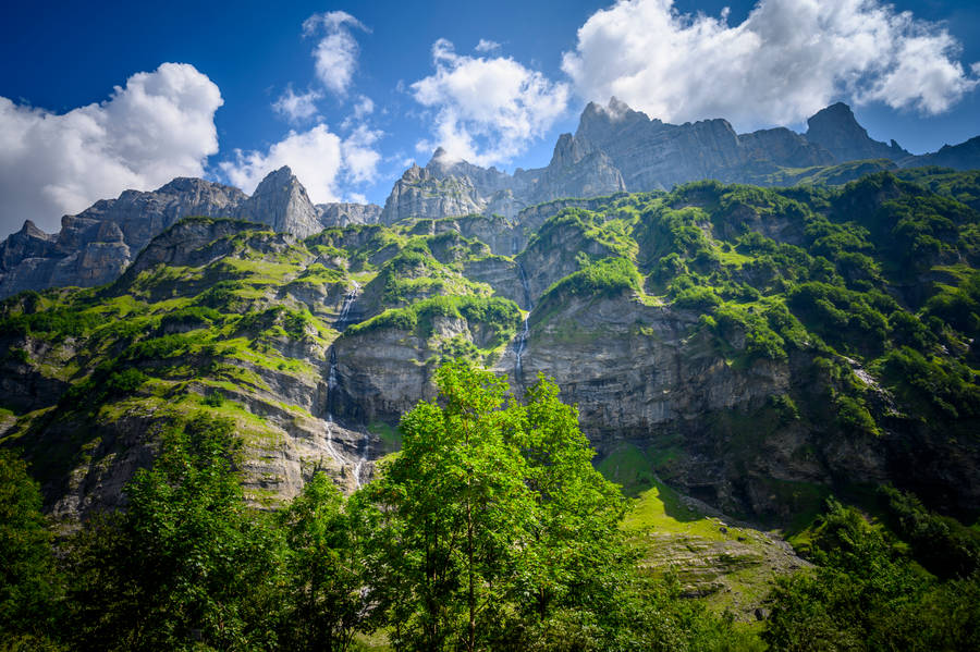 Captivating Rock Landscape Amid Serene Forest Wallpaper
