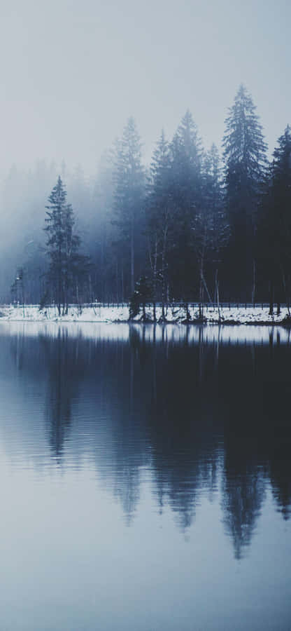 Captivating Snow Iphone Wallpaper