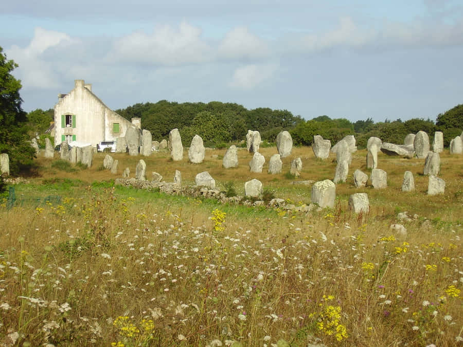 Carnac Stones Alignment Historical Landmark Wide Angle Shot Wallpaper