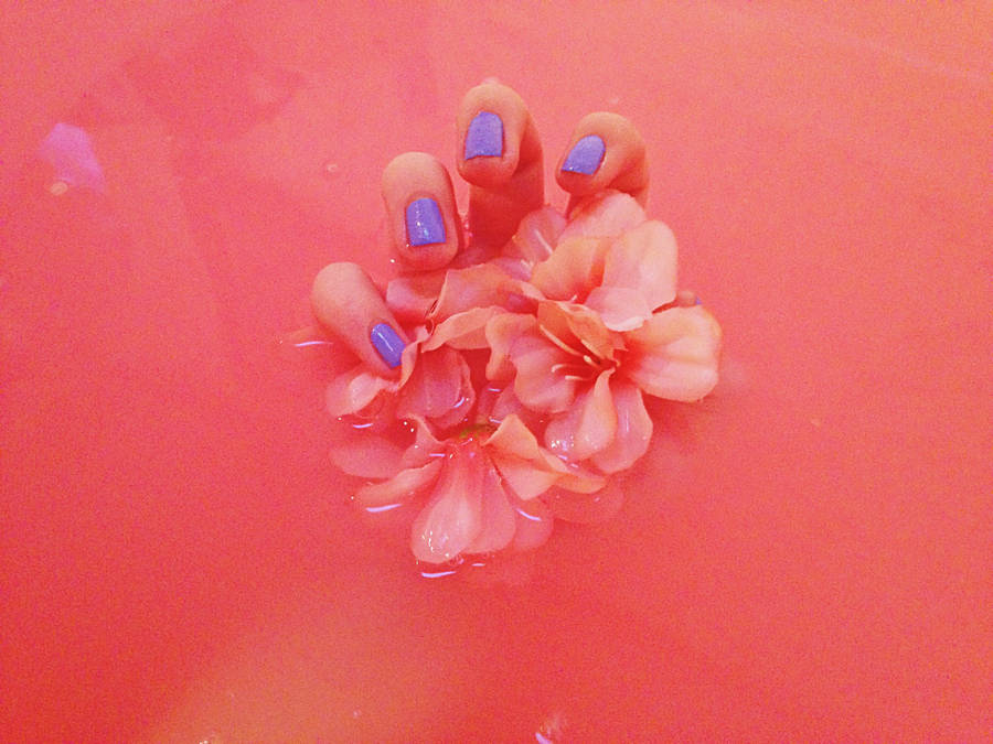 Carnation Hand Pastel Red Aesthetic Wallpaper