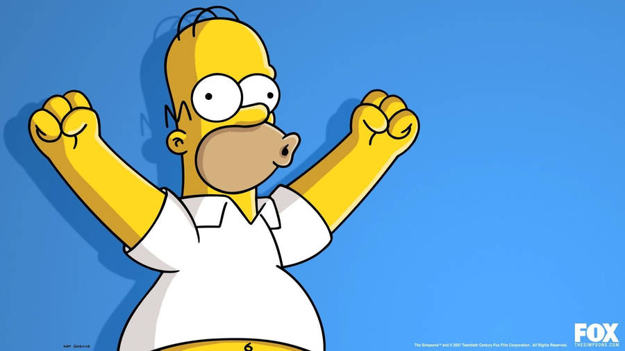 Cartoon Character Homer Simpson Wallpaper