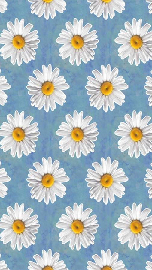 Cartoon Daisy Aesthetic Blue Wallpaper