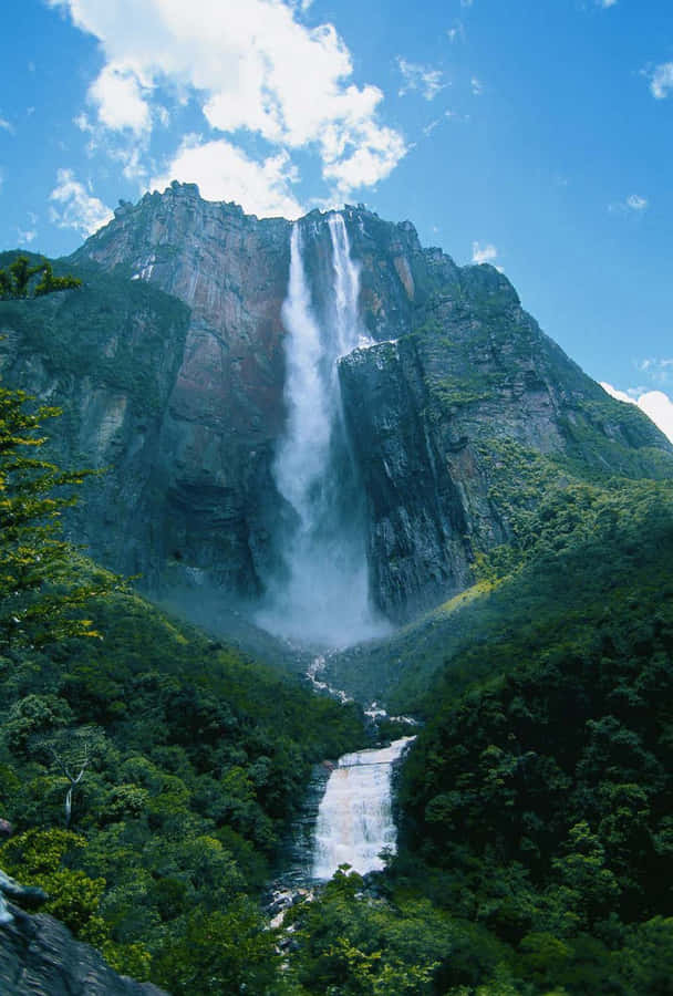 Cascading River Angel Falls Wallpaper