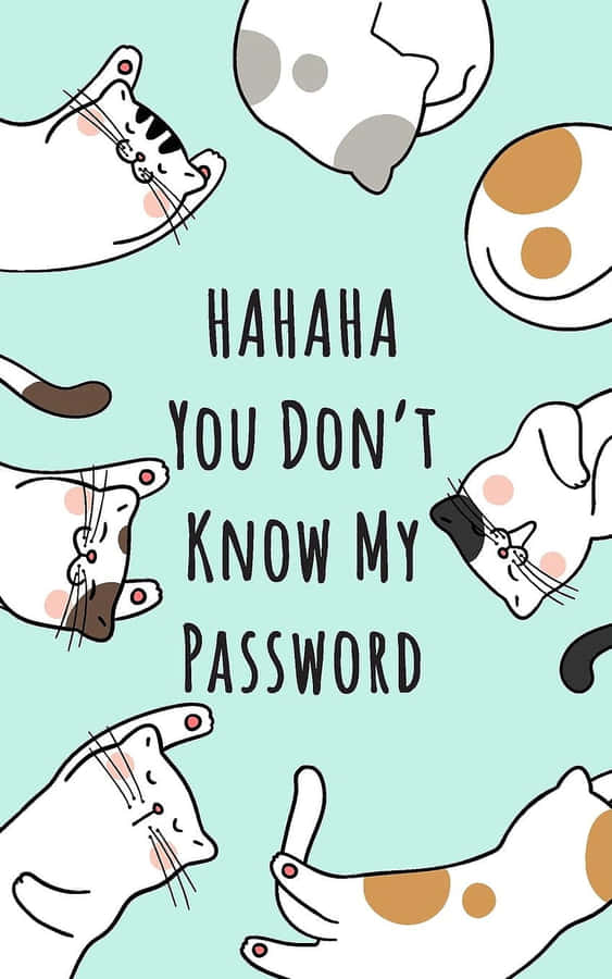 Cats Password Humor Illustration Wallpaper