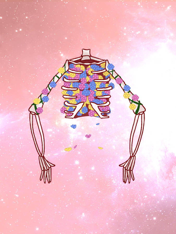 Celebrate The Beauty And Color In Life Wallpaper