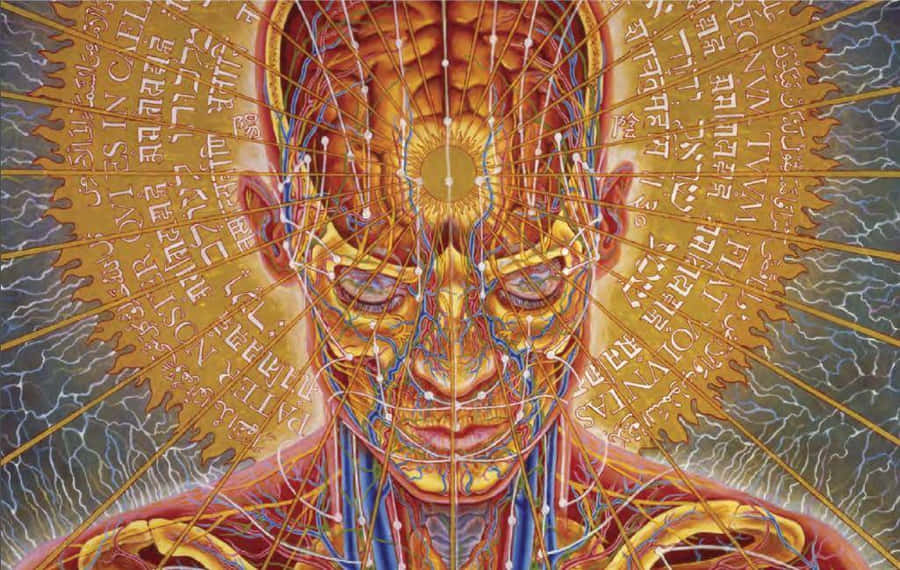 Celestial Psychedelic Artwork By Alex Grey Wallpaper