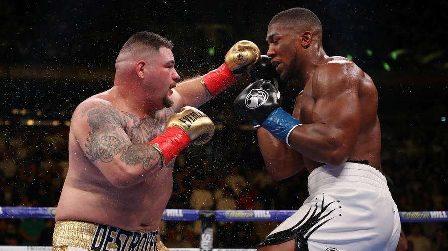 Champion Stance - Andy Ruiz In Golden Gloves Wallpaper