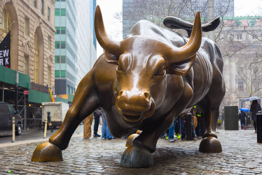Charging Bull In Manhattan New York 4k Wallpaper