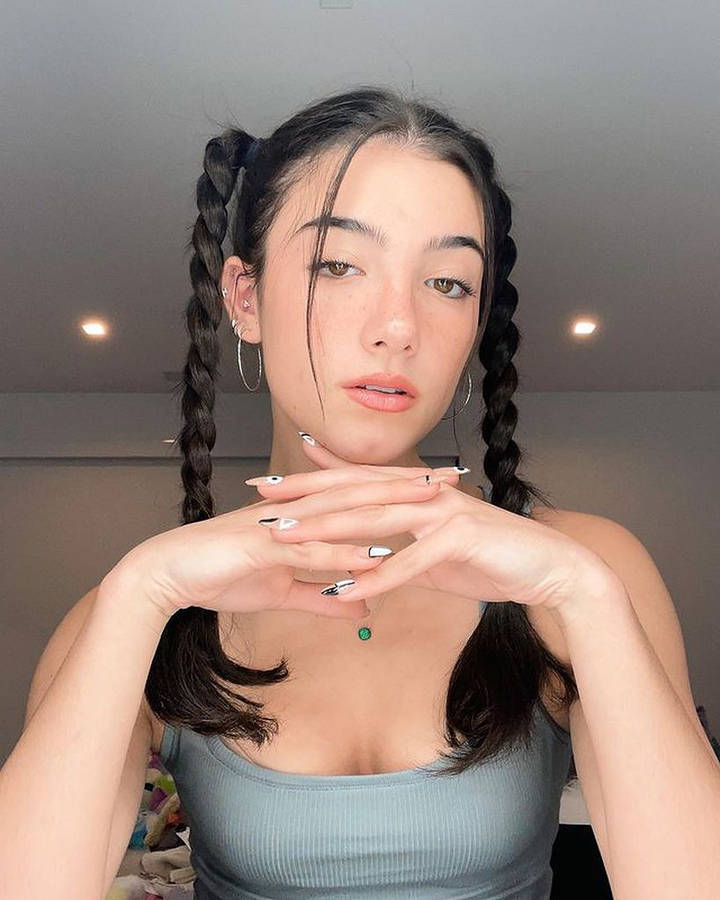 Charli D'amelio, The Reigning Queen Of The Tiktok Entertainment World Wallpaper