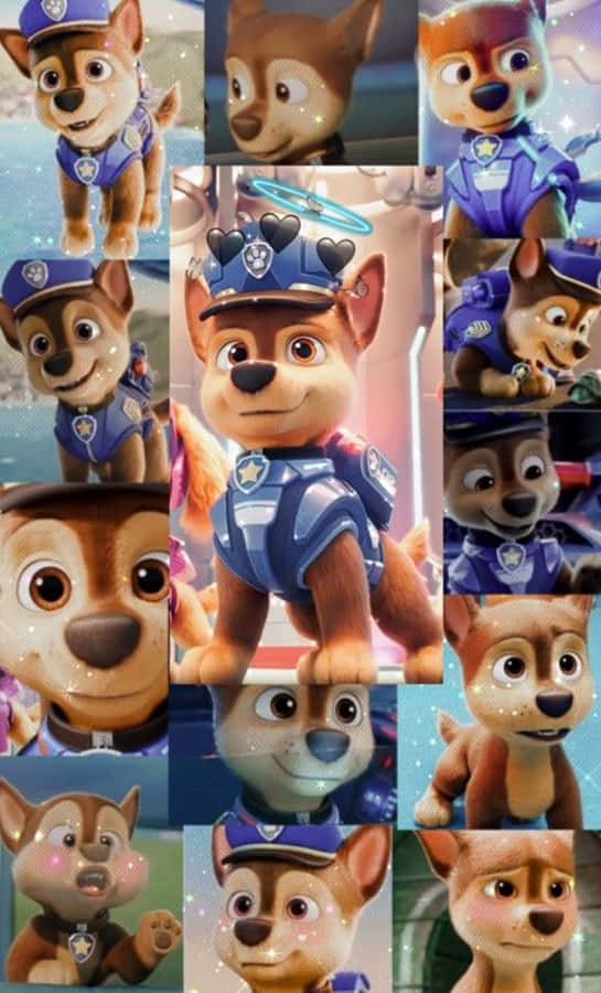 Chase From Paw Patrol Is Always Ready To Help! Wallpaper