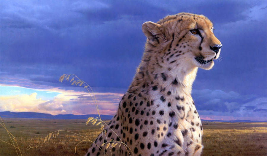 Cheetah With Purple Sky Background Wallpaper