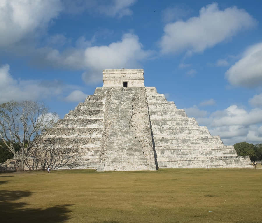 Chichen Itza Mexico El Castillo Tree Wallpaper