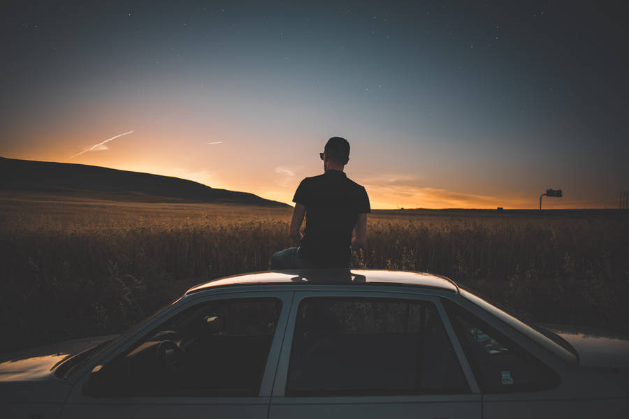 Chill On Car Roof Wallpaper