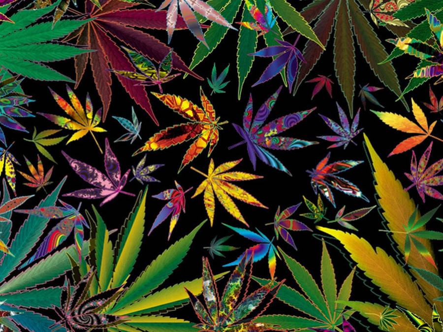 Chill Stoner Vibrant Weeds Wallpaper