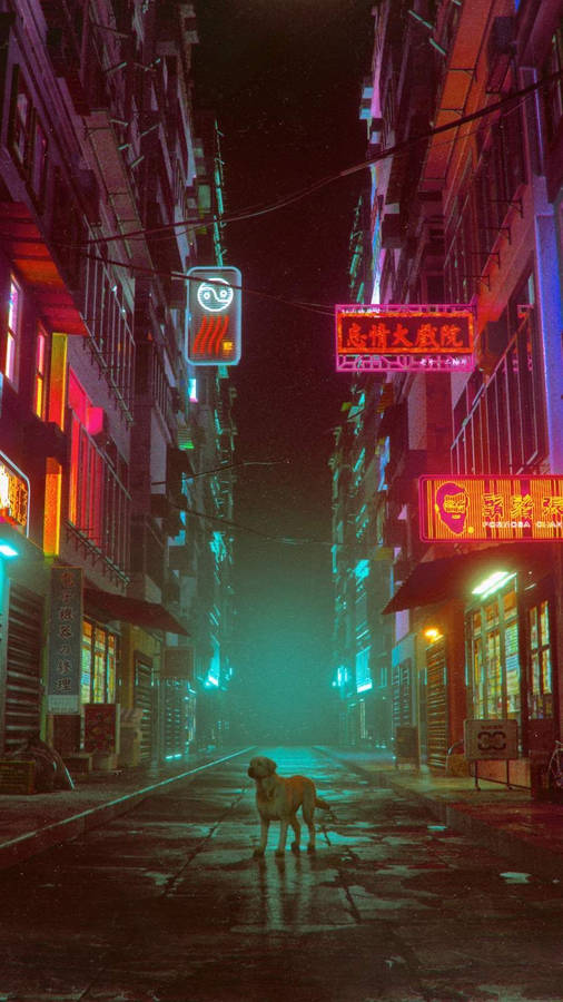 Chinatown Lone Dog Wallpaper