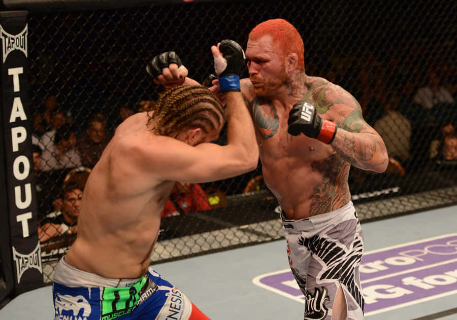 Chris Leben Fighting Andrew Craig Wallpaper