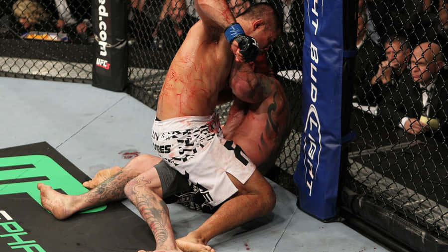 Chris Leben Mounted By Mark Munoz Wallpaper