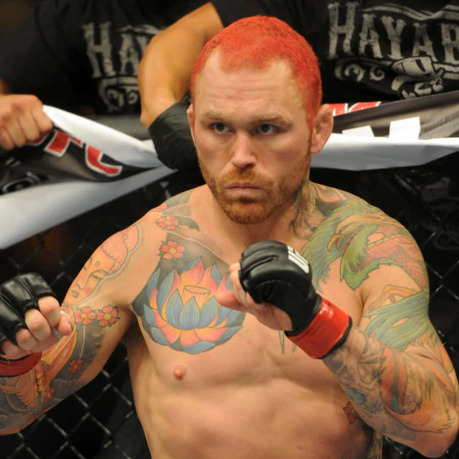 Chris Leben Ufc Knockout Artist Wallpaper