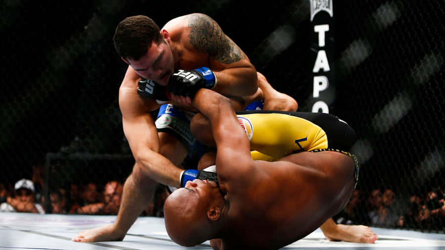 Chris Weidman Anderson Silva Wallpaper