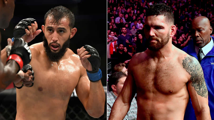 Chris Weidman Dominick Reyes Wallpaper