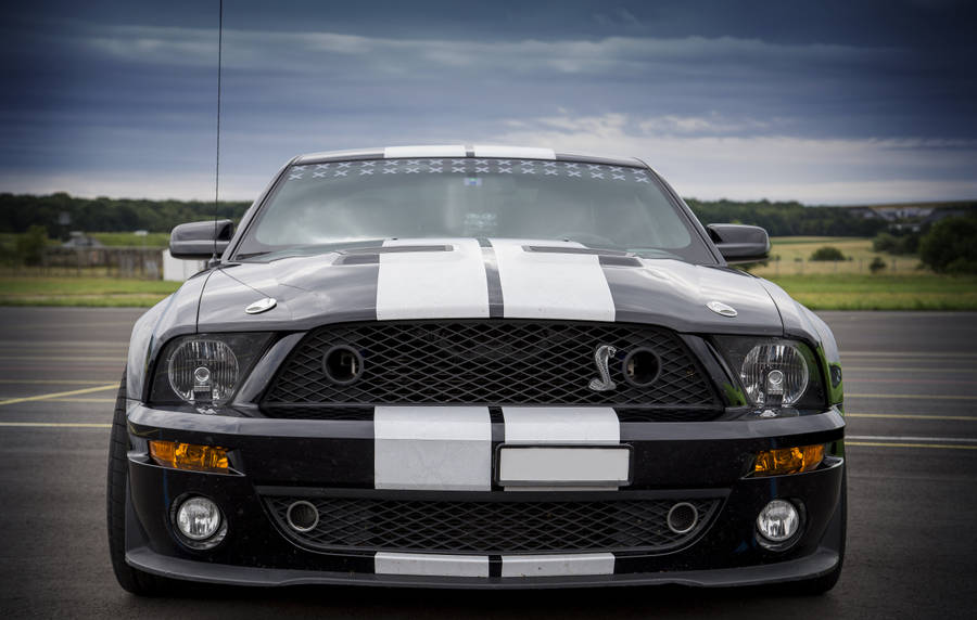 Chromed Cobra Ford Shelby Mustang Wallpaper