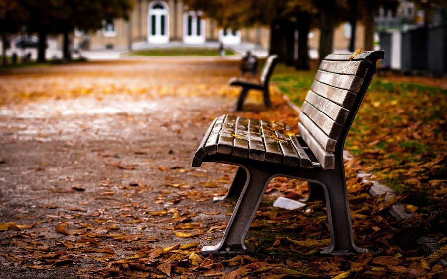 Church Side Bench Wallpaper