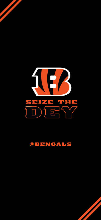 Cincinnati Bengals Seize The Dey Wallpaper