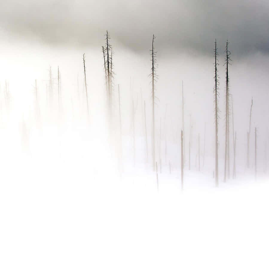 Clean And Modern Apple Ipad Wallpaper