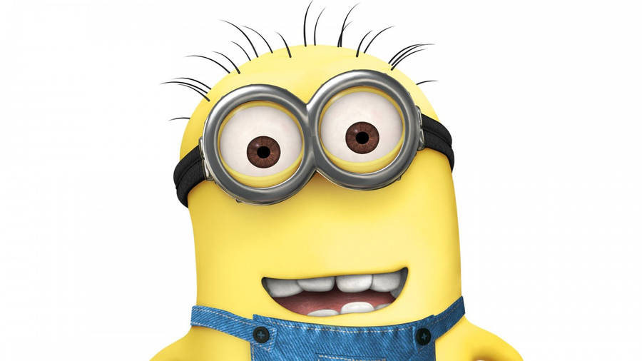 Close Up Larry Minion Desktop Wallpaper