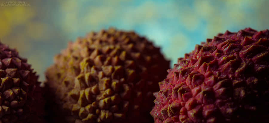 Close Up Shot Of Ripe Pulasan Fruits Wallpaper