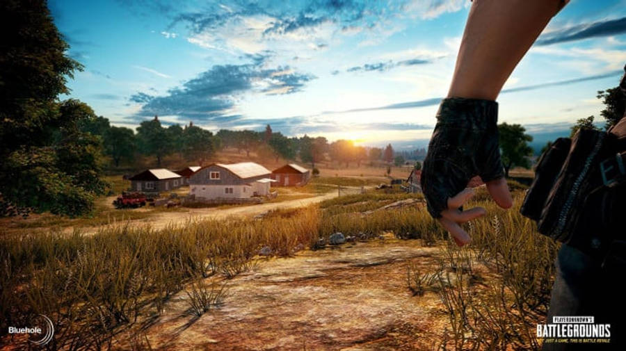 Closeup Of Hand Near Farm Pubg Banner Wallpaper