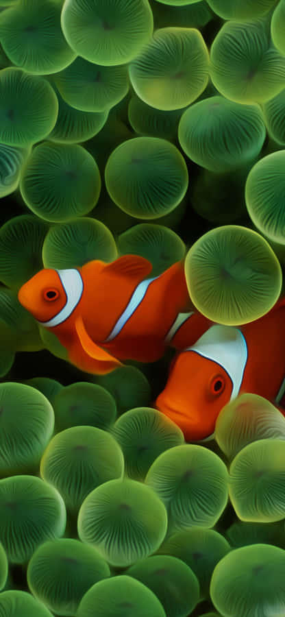 Clown Fish Iphone Green Aesthetic Eggs Wallpaper