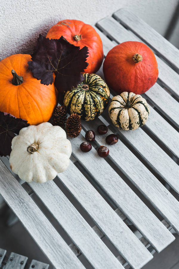 Colored Rustic Fall Pumpkins Wallpaper