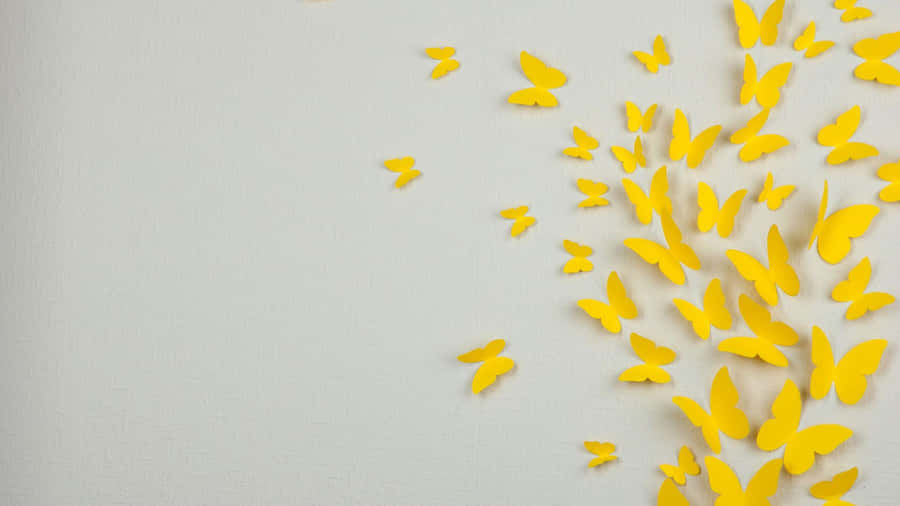 Colorful And Spectacular Yellow Butterflies Wallpaper