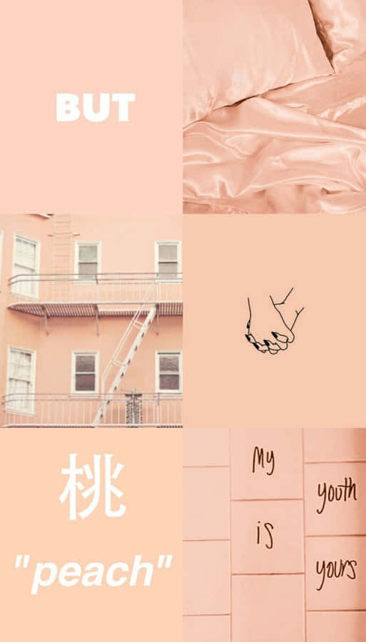 Colorful Blooms Of A Pastel Peach Flower Wallpaper