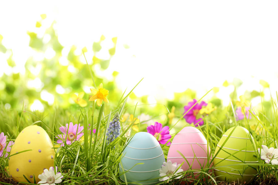 Colorful Easter Eggs On Grass Wallpaper