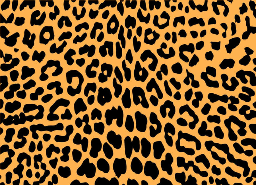 Colorful Leopard Pattern Wallpaper