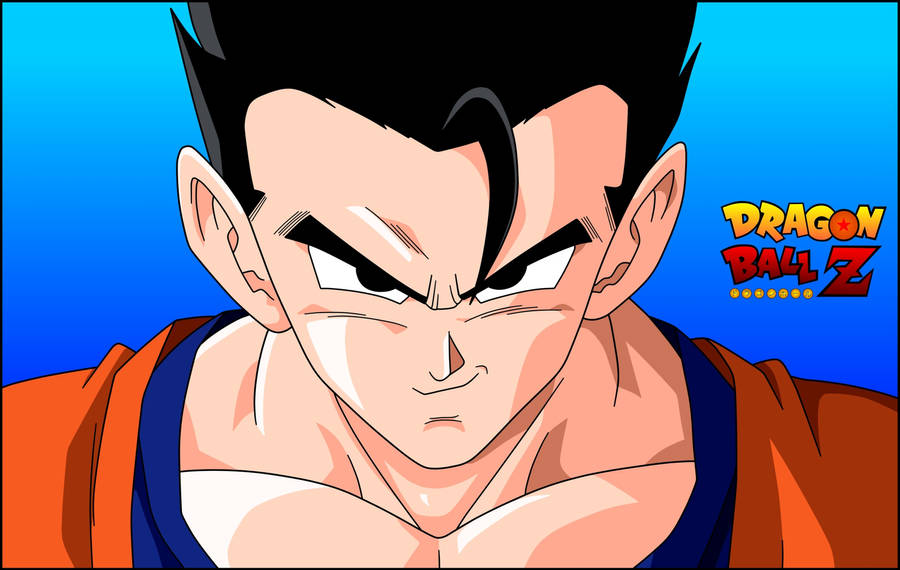 Confident Son Gohan Wallpaper