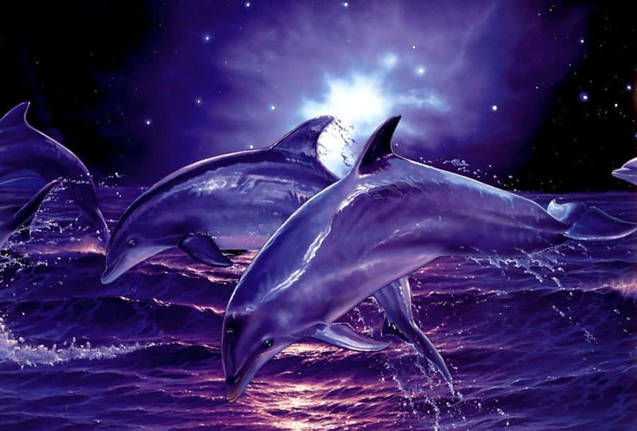 Cool Dolphins Purple Art Wallpaper