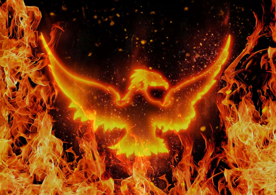 Cool Fire Bird Wallpaper