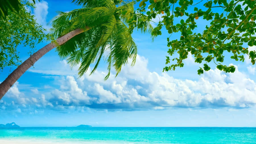 Cool Summer Vibrant Beach Wallpaper