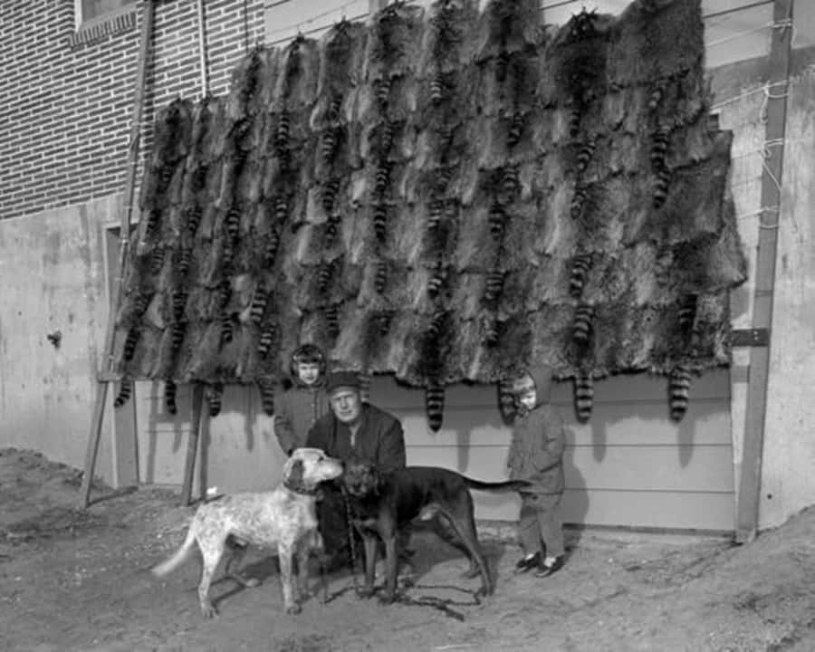 Coon Hunting Black And White Merchant Wallpaper