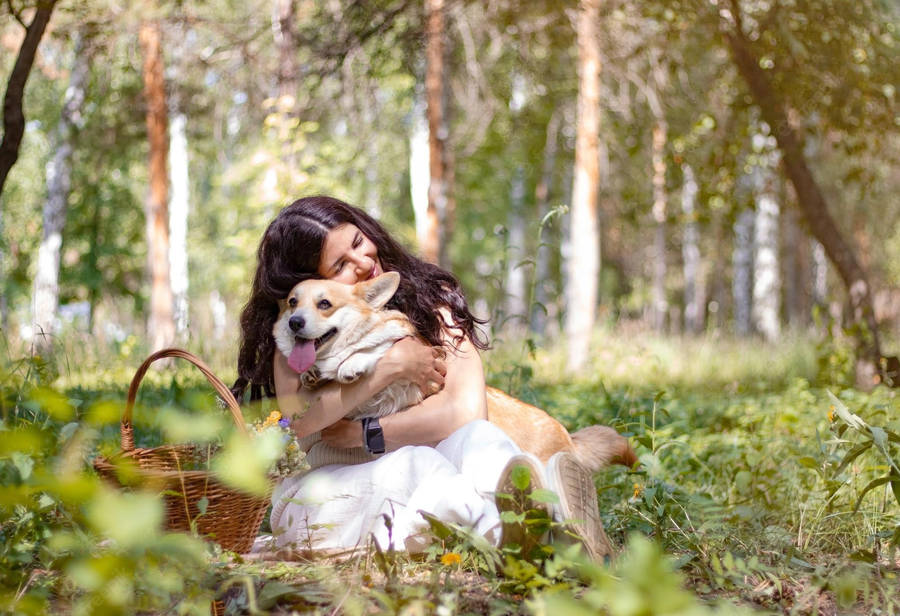 Corgi Puppy Dog And Girl Wallpaper