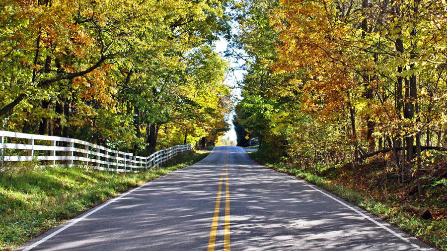 Country Road White Wooden Fence Wallpaper