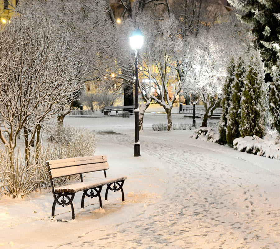 Cozy Winter Evening Local Park Wallpaper